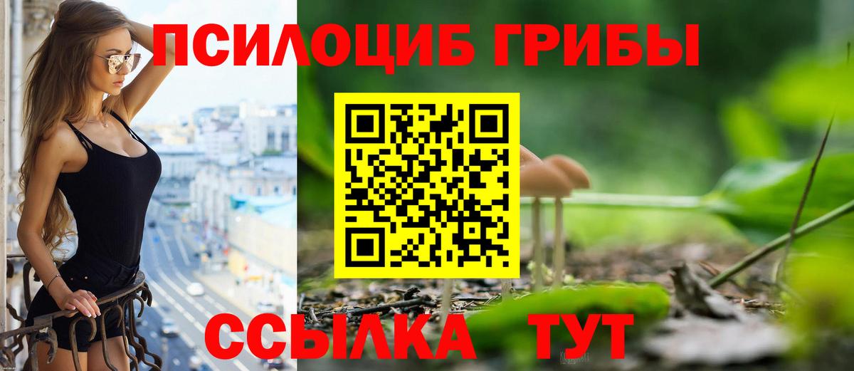 Кизляр  Галлюциногенные грибы прущие грибы  Вход с VPN 